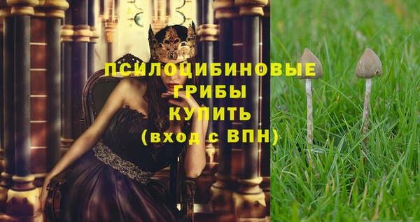 экстази Михайловка