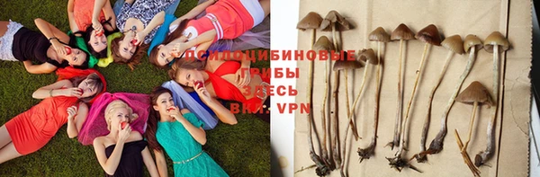 бошки Медногорск