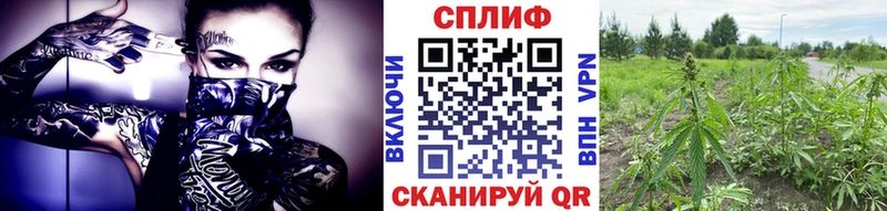 продажа наркотиков  Минусинск  Конопля LSD WEED 