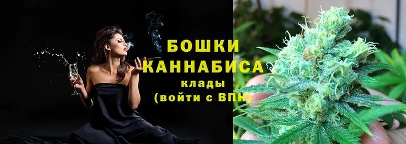 Бошки марихуана THC 21%  Минусинск 